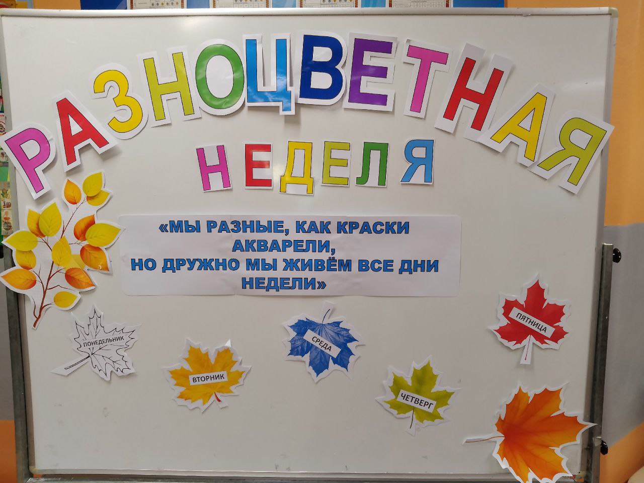 Разноцветная неделя.