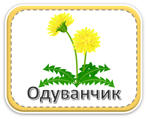 Группа &amp;quot;Одуванчик&amp;quot;.