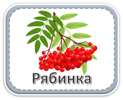 Группа &amp;quot;Рябинка&amp;quot;.