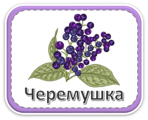 Группа &amp;quot;Черёмушка&amp;quot;.